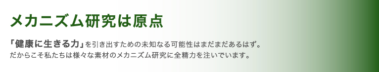 メカニズム研究は原点