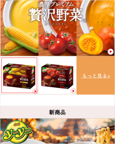 1.気になる商品のパネルをクリックすると、商品の詳しい情報が表示されます。