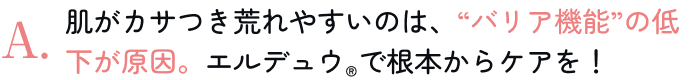 肌がカサつき荒れやすいのは、“バリア機能”の低下が原因。エルデュウ®で根本からケアを！