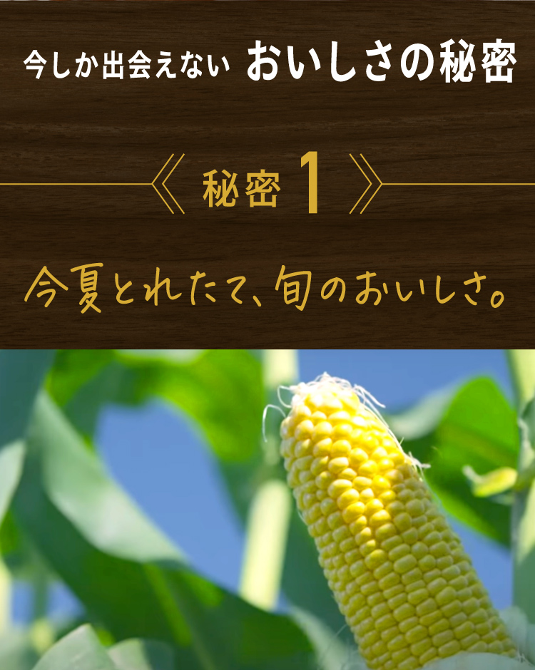 今しか出会えない おいしさの秘密 今夏とれたて、旬のおいしさ。