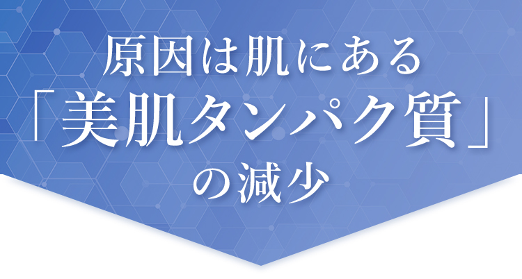 原因は肌にある「美肌タンパク質」の減少