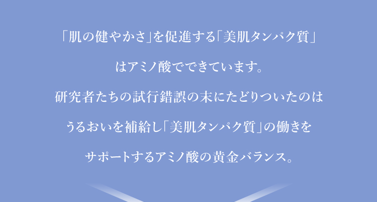 「肌の健やかさ」を促進する「美肌タンパク質」
はアミノ酸でできています。研究者たちの試行錯誤の末にたどりついたのはうるおいを補給し「美肌タンパク質」の働きをサポートするアミノ酸の黄金バランス。