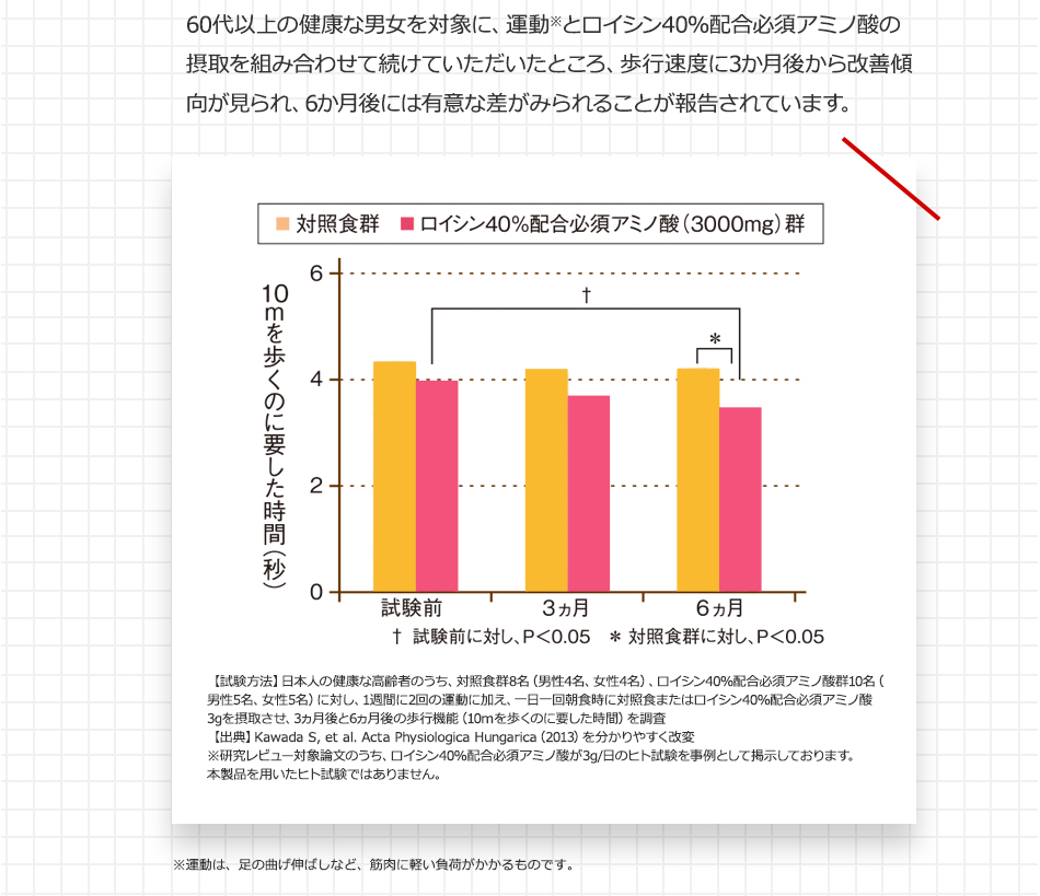 60代以上の健康な男女を対象に、運動※とロイシン40％配合必須アミノ酸の摂取を組み合わせて続けていただいたところ、歩行速度に3ヵ月後から改善傾向が見られ、6ヵ月後にはその効果がはっきりとあらわれることがわかりました。※運動は、足の曲げ伸ばしなど、筋肉に軽い負荷がかかるものです。