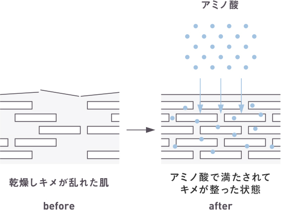 ビフォー・アフター