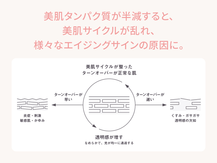 美肌タンパク質が半減すると、美肌サイクルが乱れ、様々なエイジングサインの原因に。