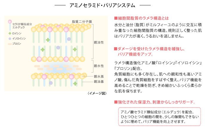 アミノセラミド・バリアシステム