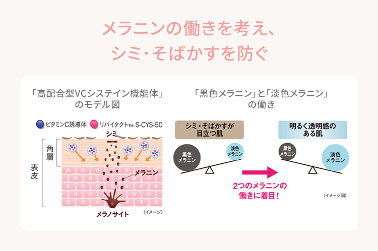メラニンの働きを考え、 シミ・そばかすを防ぐ