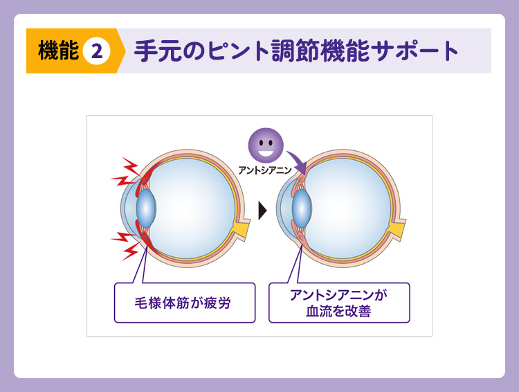 手元のピント調節機能サポート
