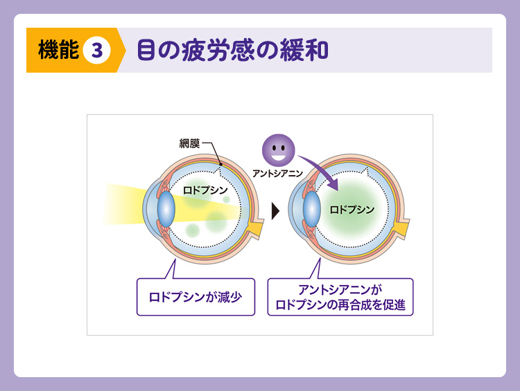 目の疲労感の緩和