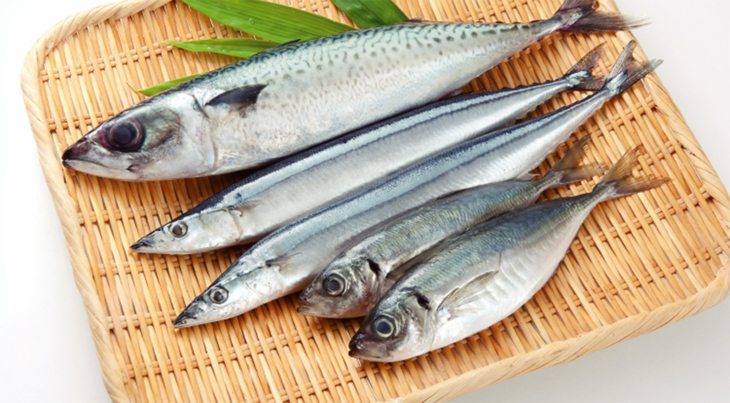 青魚のサラサラ成分DHA&EPA（オメガ３）