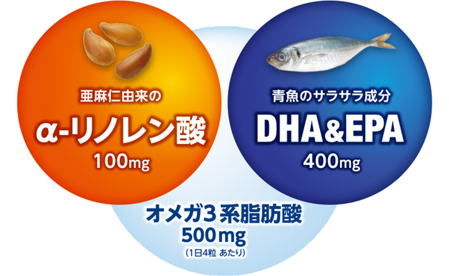 乱れがちな生活習慣をサポート