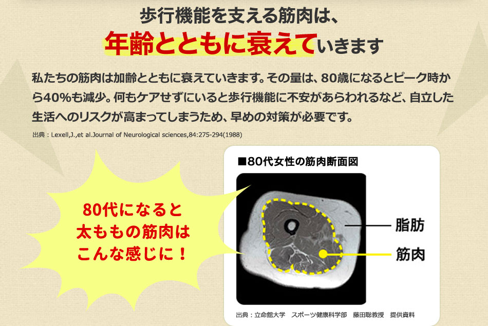 歩行機能を支える筋肉は、年齢とともに衰えていきます?