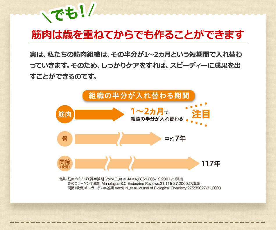 筋肉は歳を重ねてからでも作ることができます