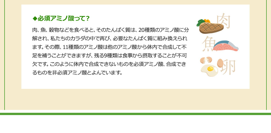 アミノエールRは味の素（株）100年のアミノ酸研究から生まれた信頼のサプリメントです。