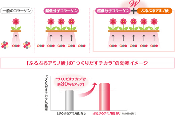 「ぷるぷるアミノ酸のつくりだすチカラの効率イメージ」