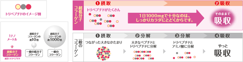 超低分子コラーゲンとは