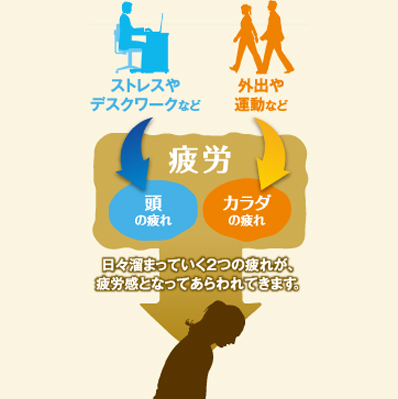 日々溜まっていく2つの疲れが、疲労感となってあらわれてきます。