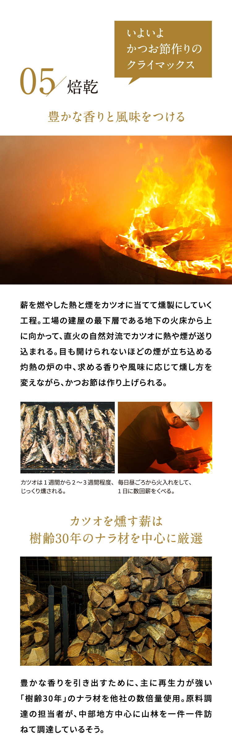 05/焙乾