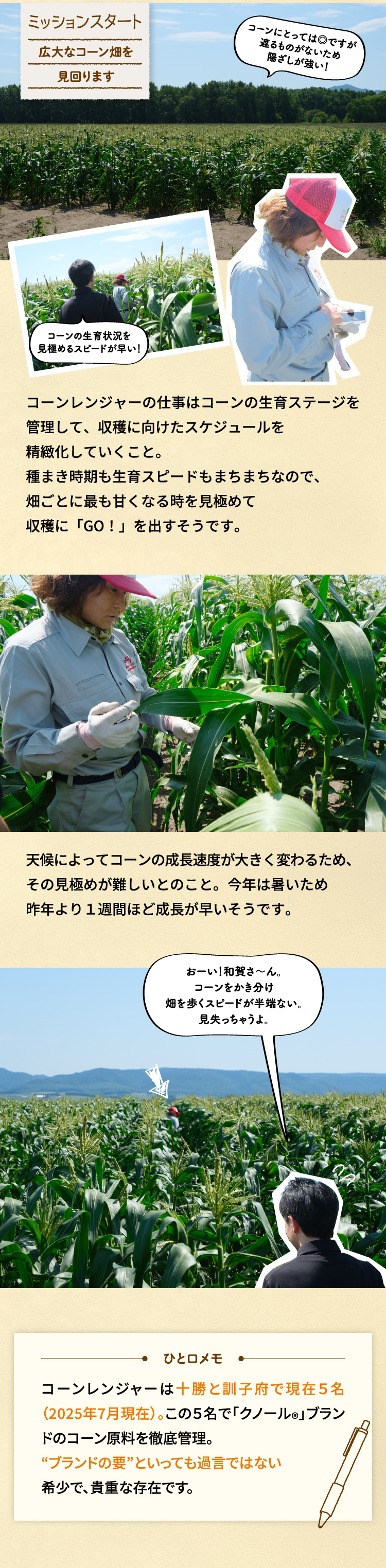 ミッションスタート 広大なコーン畑を見回ります