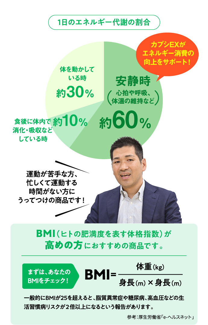 1日のエネルギー代謝の割合